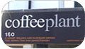 Coffee Plant Portobello